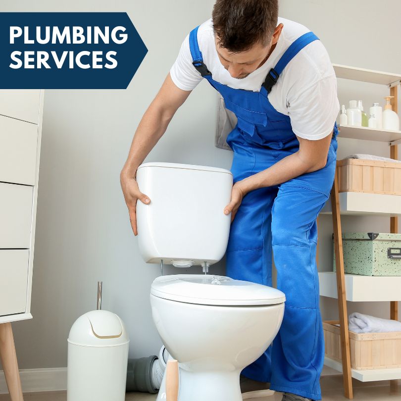 Plumbing Company in Tustin, MI